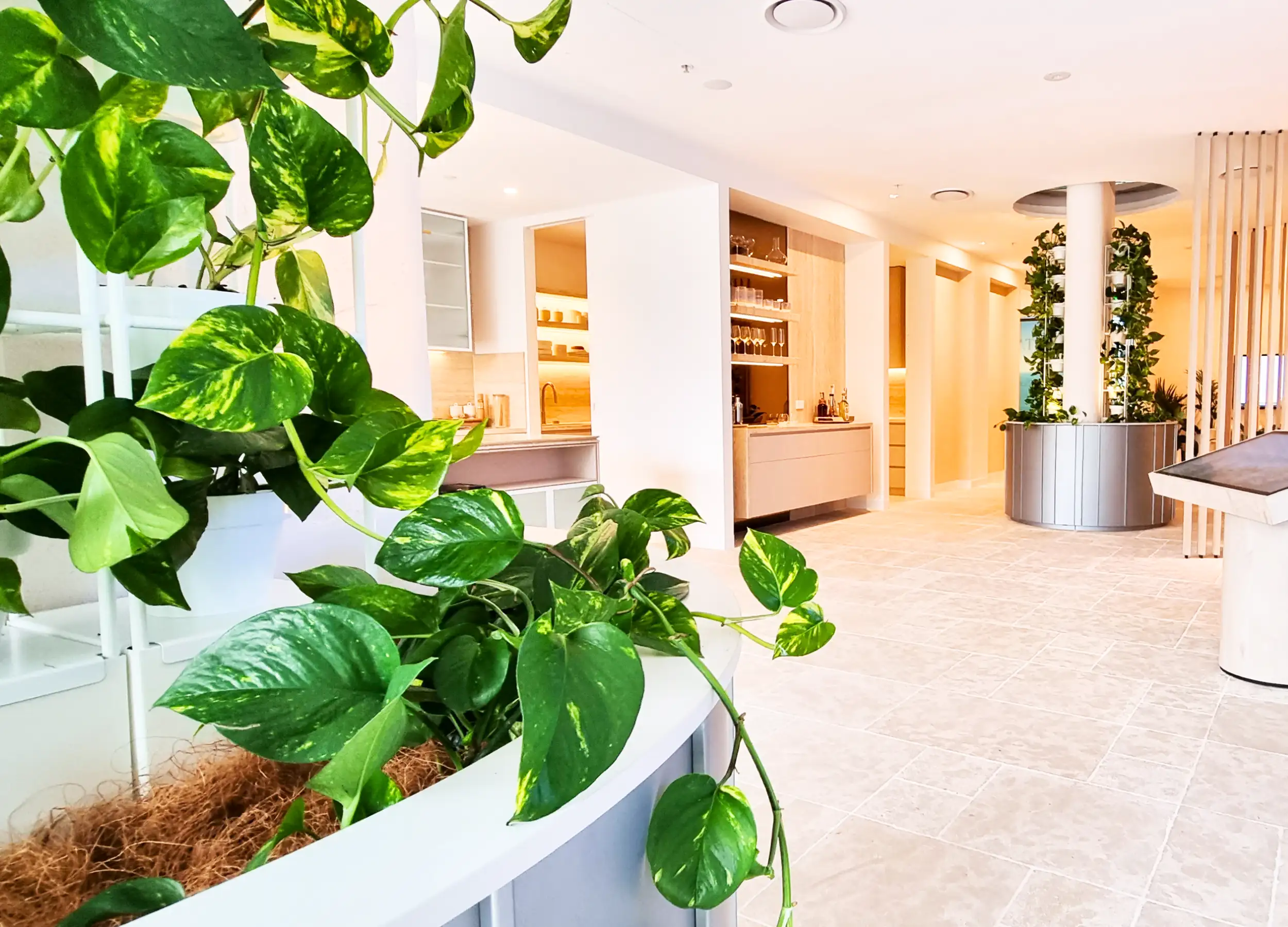 Enhance your office interiors with an indoor vertical garden | Ambius AU
