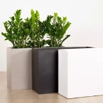 Ambius Mobile Trough