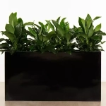 Ambius Mobile Trough