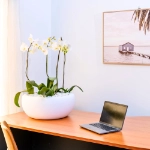  Ambius Multiplanters
