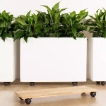 Ambius Mobile Trough