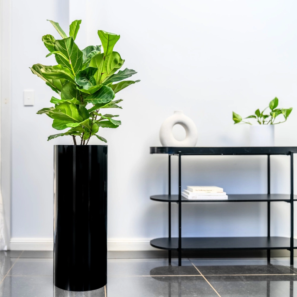 Ambius Cilindro Tall Black