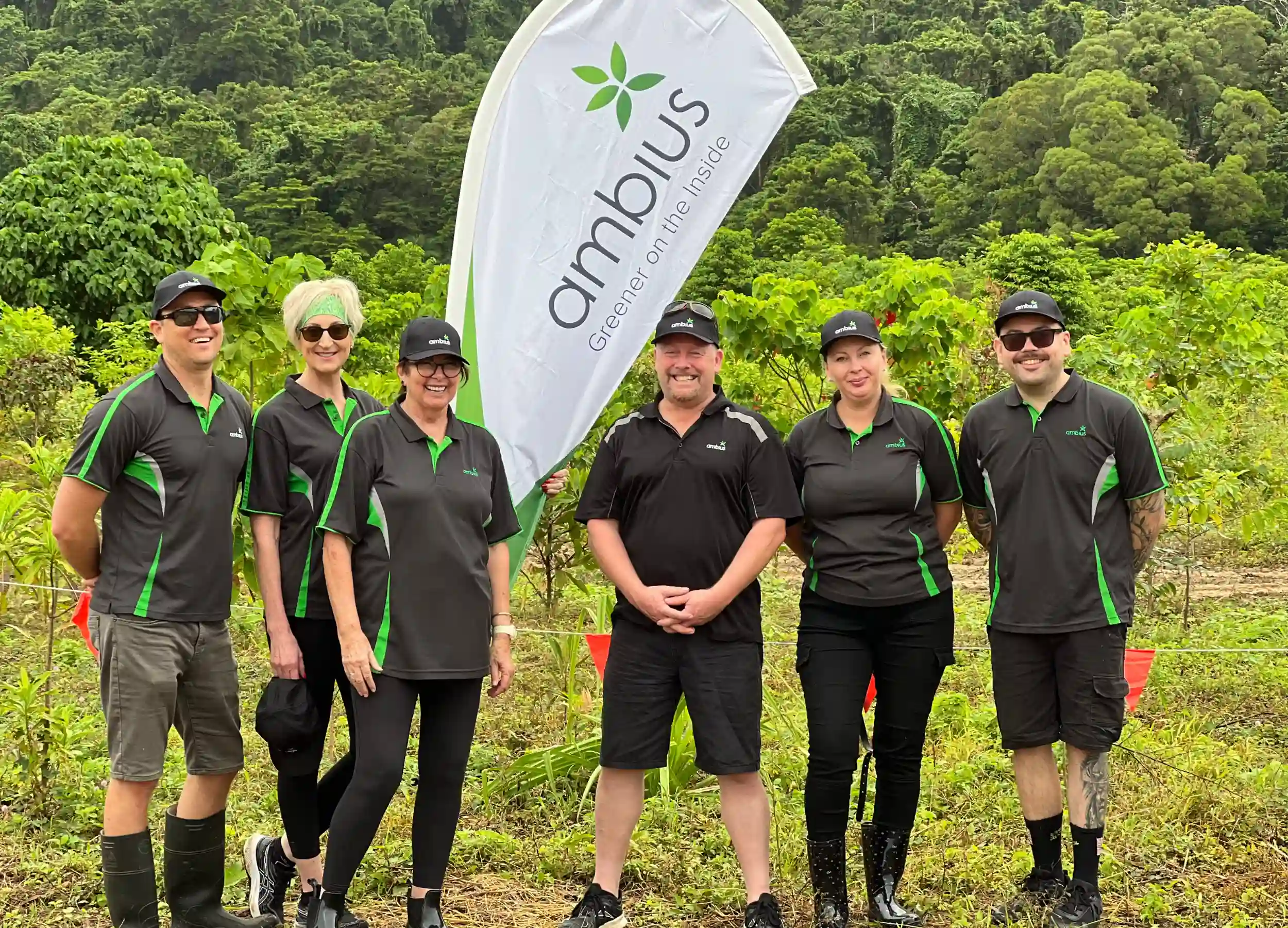Daintree