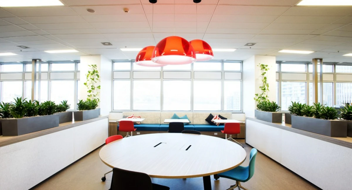 Office after plants