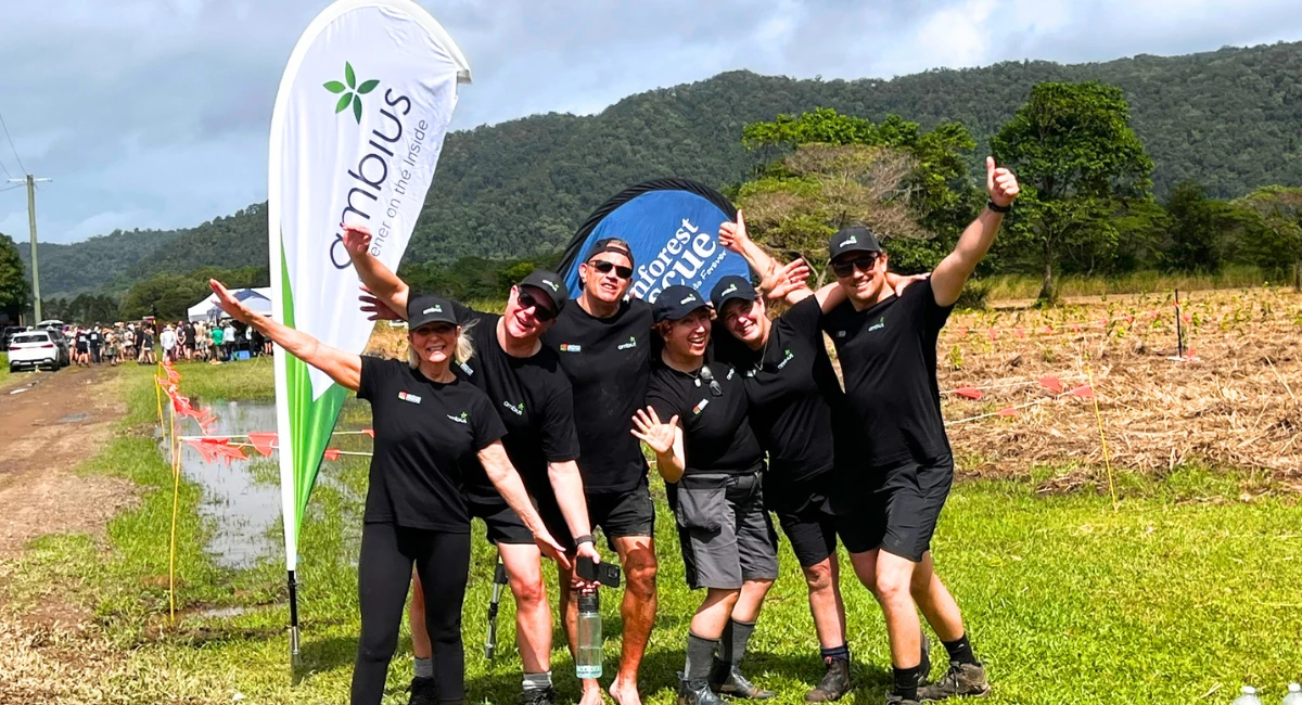 Daintree