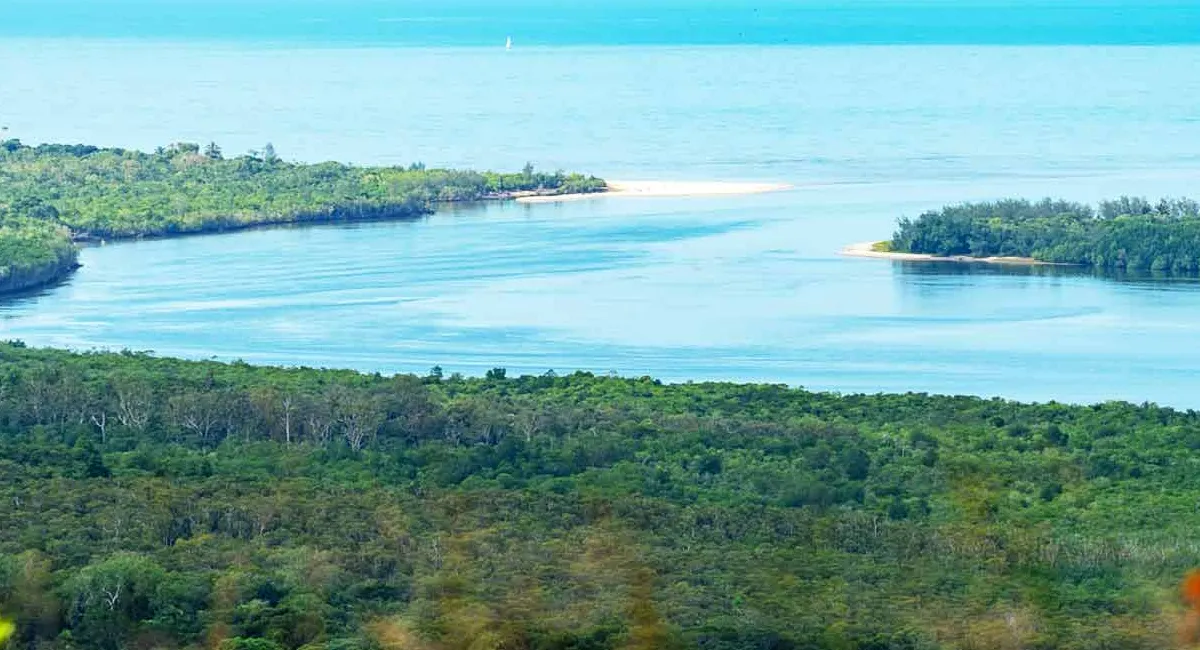 Daintree and Great Barrier Reef