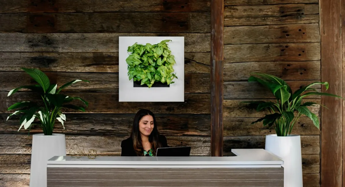 Reception after plants