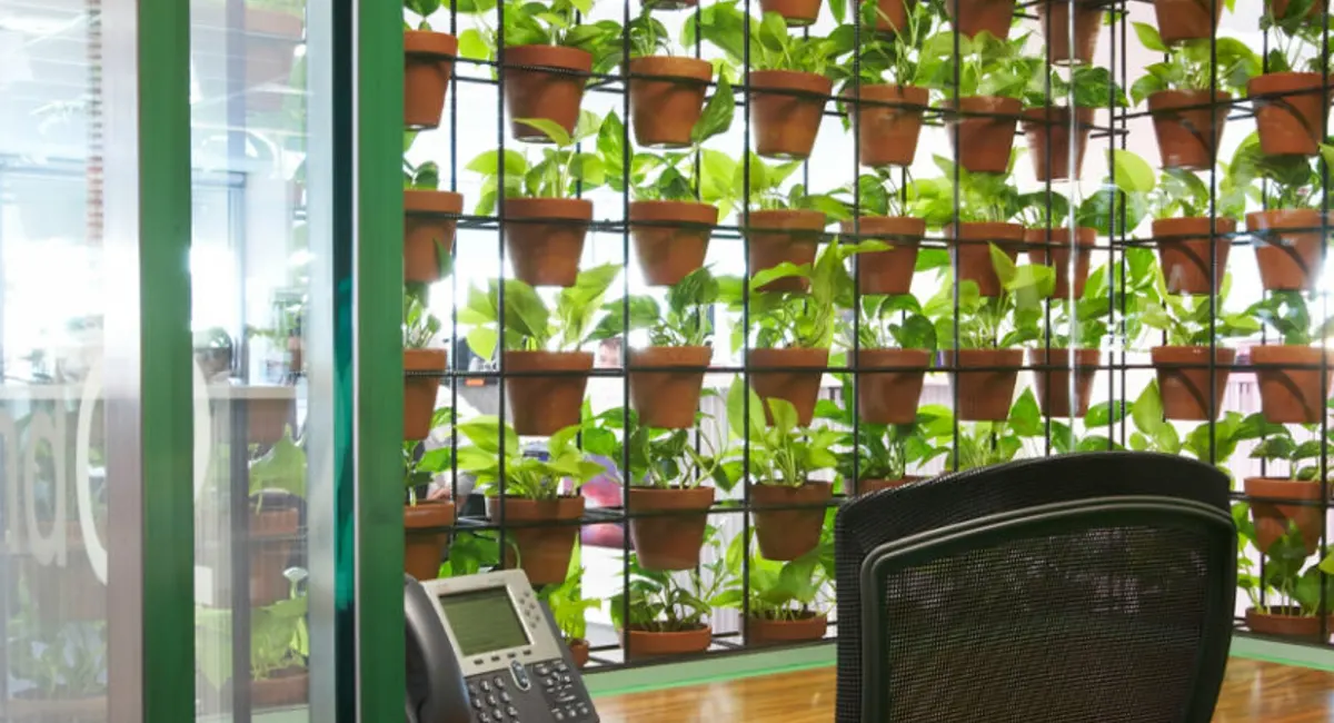 Green wall