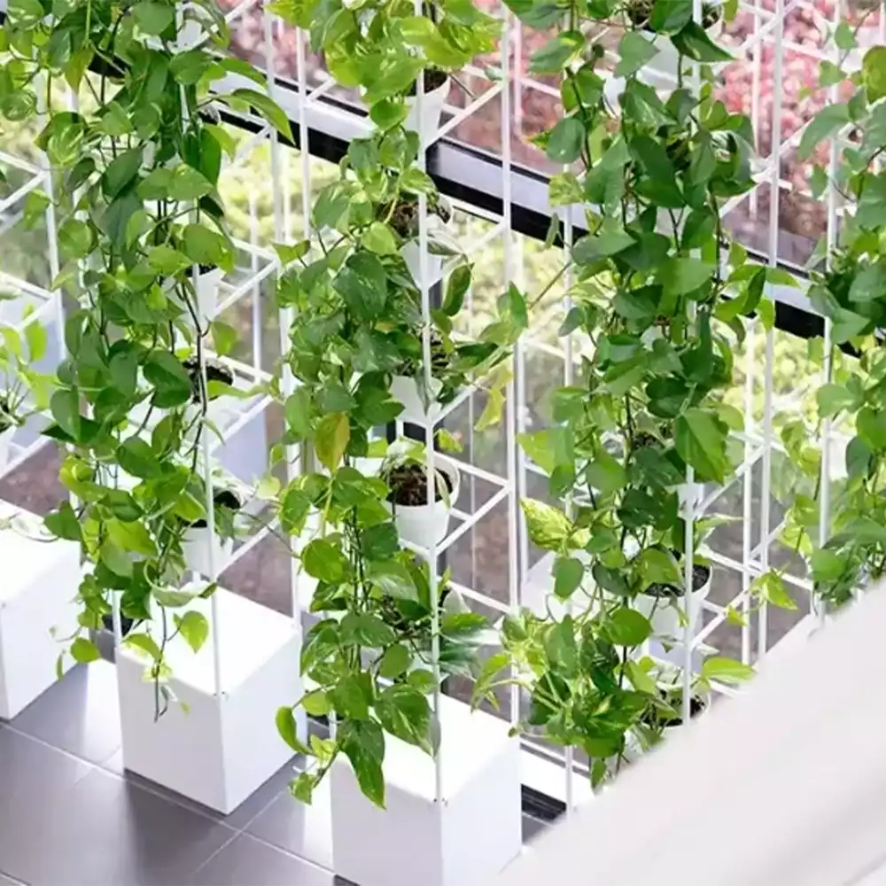 Schiavello Vertical Garden