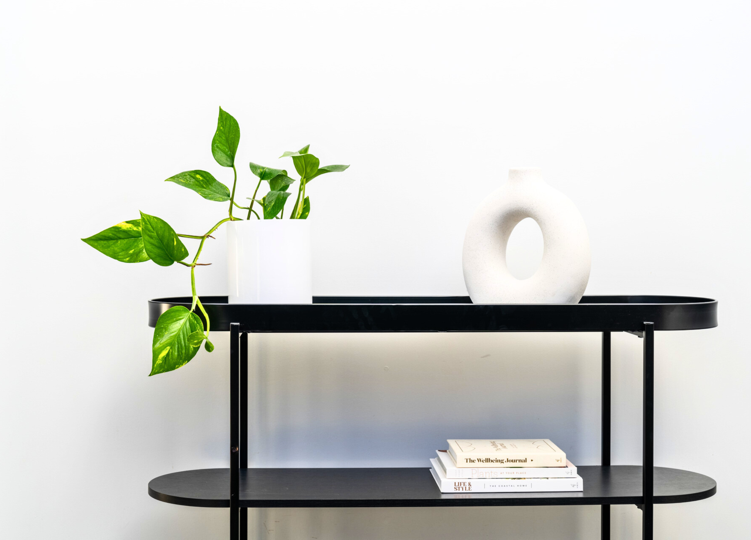 Ambius Wilston with Pothos