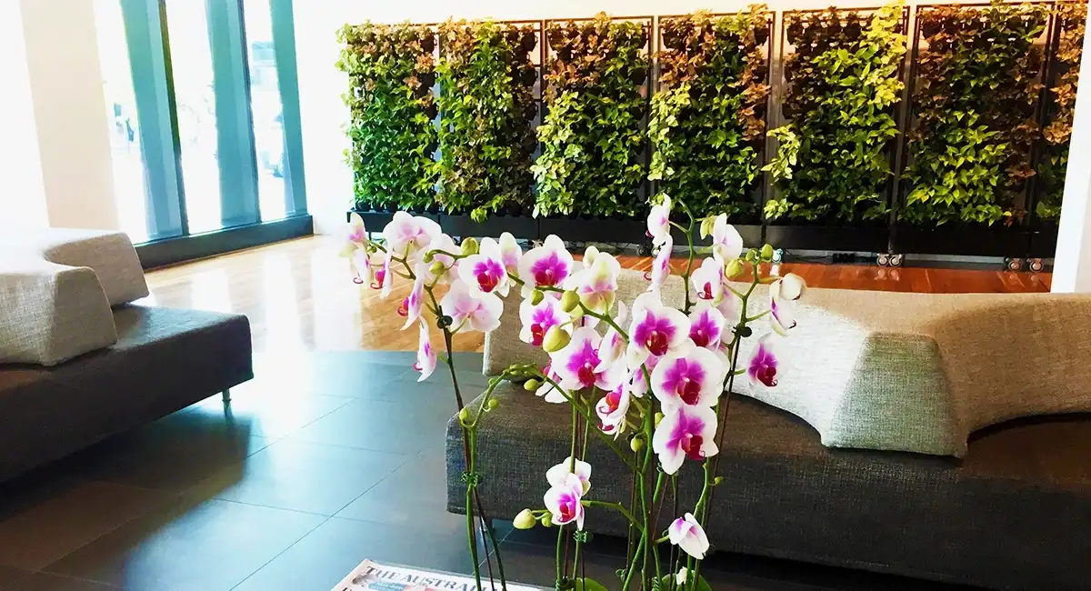 Schiavello Vertical Garden 